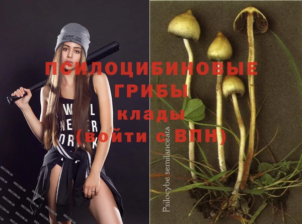мяу мяу мука Абинск